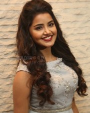 Malayalam Actress Anupama Parameswaran New Pictures