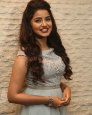 Malayalam Actress Anupama Parameswaran New Pictures