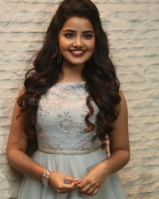 Malayalam Actress Anupama Parameswaran New Pictures