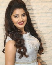 Malayalam Actress Anupama Parameswaran New Pictures