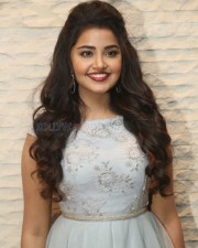 Malayalam Actress Anupama Parameswaran New Pictures