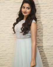 Malayalam Actress Anupama Parameswaran New Pictures