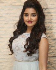 Malayalam Actress Anupama Parameswaran New Pictures
