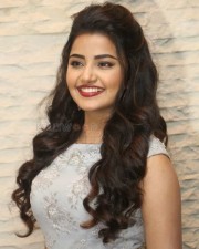 Malayalam Actress Anupama Parameswaran New Pictures