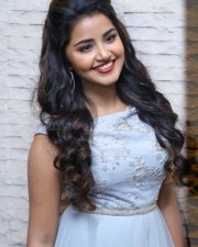 Malayalam Actress Anupama Parameswaran New Pictures