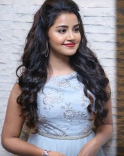 Malayalam Actress Anupama Parameswaran New Pictures