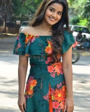 Mallu Actress Anupama Parameswaran New Photos