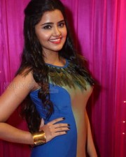 Mallu Actress Anupama Parameswaran Pics