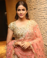 Mayavan Movie Heroine Lavanya Tripathi Photos