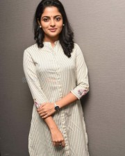Meda Meeda Abbayi Movie Heroine Nikhila Vimal Photos