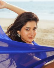 Mesmerizing Actress Rashi Singh in a Royal Blue Saree Photos 02 Mesmerizing Actress Rashi Singh in a Royal Blue Saree Photos 02
