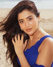 Mesmerizing Actress Rashi Singh in a Royal Blue Saree Photos 03 Mesmerizing Actress Rashi Singh in a Royal Blue Saree Photos 03