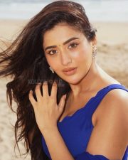 Mesmerizing Actress Rashi Singh in a Royal Blue Saree Photos 03