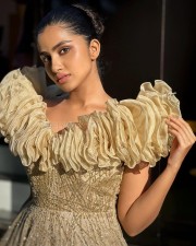 Mesmerizing Anupama Parameswaran in a Gold Organza Embellished Gown with a Gold Choker Necklace Photos 01