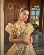 Mesmerizing Anupama Parameswaran in a Gold Organza Embellished Gown with a Gold Choker Necklace Photos 02