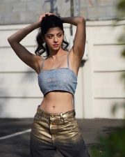 Mesmerizing Vedhika Kumar Armpits in a Spaghetti Strap Silver Crop Top and Shimmery Pant Pictures 02