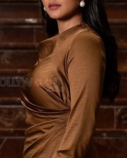 Mrunal Thakur in a Brown Dress Pictures 04
