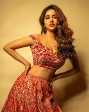 Nabha Natesh Glam Stills 03