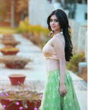Nannu Dochukunduvate Actress Nabha Natesh Photoshoot Pictures