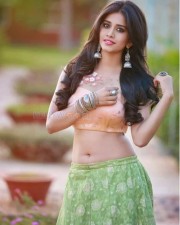 Nannu Dochukunduvate Actress Nabha Natesh Photoshoot Pictures