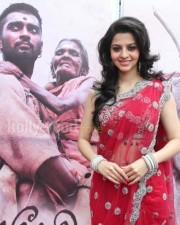 Vedhika 30 Paradesi Movie Vedhika Pictures