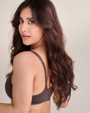 Photogenic Actress Nabha Natesh in a Brown Sports Bra Photos 02