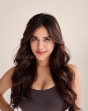 Photogenic Actress Nabha Natesh in a Brown Sports Bra Photos 04