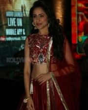 Pragya Jaiswal 12 Pragya Jaiswal Beautiful Navel Pictures