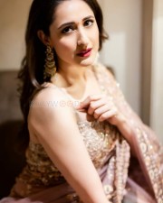 Pragya Jaiswal 58 Pragya Jaiswal Hot Saree Photoshoot Pictures