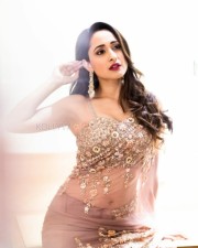 Pragya Jaiswal 57 Pragya Jaiswal Hot Saree Photoshoot Pictures