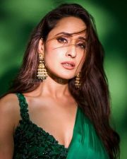 Pragya Jaiswal Hot in Green Saree Photoshoot Stills 05