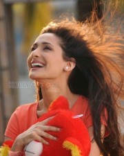 Pragya Jaiswal 34 Pragya Jaiswal Sexy Photos