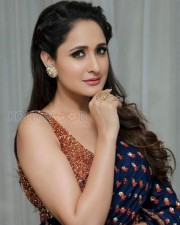 Pragya Jaiswal 31 Pragya Jaiswal Sexy Saree Pictures