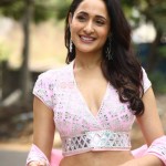 Pragya Jaiswal at Akhanda Movie Interview Stills 02 Pragya Jaiswal at Akhanda Movie Interview Stills 02