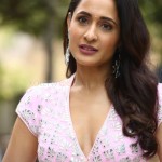 Pragya Jaiswal at Akhanda Movie Interview Stills 03 Pragya Jaiswal at Akhanda Movie Interview Stills 03