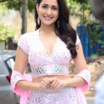 Pragya Jaiswal at Akhanda Movie Interview Stills 13 Pragya Jaiswal at Akhanda Movie Interview Stills 13