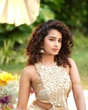 Radiant Actress Anupama Parameswaran in a Gold Cream Saree with Floral Blouse Photos 03