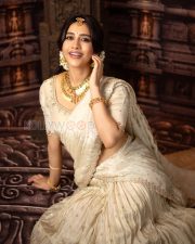 Radiant Actress Nabha Natesh in a Cream Embroidered Saree Temple Jewelry Photos 02