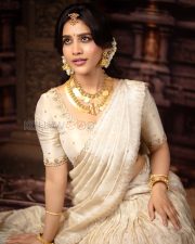 Radiant Actress Nabha Natesh in a Cream Embroidered Saree Temple Jewelry Photos 04