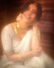 Radiant Actress Nabha Natesh in a Cream Embroidered Saree Temple Jewelry Photos 06