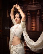 Radiant Actress Nabha Natesh in a Cream Embroidered Saree Temple Jewelry Photos 07