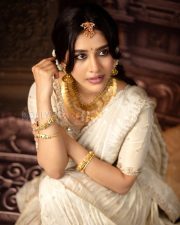Radiant Actress Nabha Natesh in a Cream Embroidered Saree Temple Jewelry Photos 08
