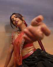 Regal Actress Nabha Natesh in a Red silk saree with embroidered blouse Photos 03 Regal Actress Nabha Natesh in a Red silk saree with embroidered blouse Photos 03