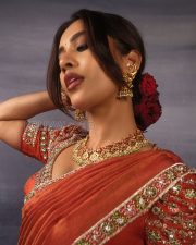 Regal Actress Nabha Natesh in a Red silk saree with embroidered blouse Photos 04 Regal Actress Nabha Natesh in a Red silk saree with embroidered blouse Photos 04