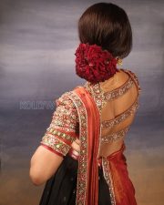 Regal Actress Nabha Natesh in a Red silk saree with embroidered blouse Photos 05 Regal Actress Nabha Natesh in a Red silk saree with embroidered blouse Photos 05