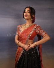 Regal Actress Nabha Natesh in a Red silk saree with embroidered blouse Photos 06 Regal Actress Nabha Natesh in a Red silk saree with embroidered blouse Photos 06