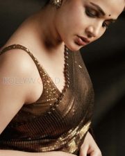 Resplendent Actress Lavanya Tripathi in a Bronze Sequin Saree Photos 02 Resplendent Actress Lavanya Tripathi in a Bronze Sequin Saree Photos 02
