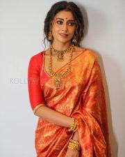 Resplendent Actress Shriya Saran in a Red Gold Banarasi Silk Saree and Antique Gold Jewelry Photos 04 Resplendent Actress Shriya Saran in a Red Gold Banarasi Silk Saree and Antique Gold Jewelry Photos 04