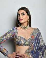 Salute Movie Actress Diana Penty Sexy Pictures 04