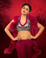 Seductive Sony Charishta Latest Photoshoot Pictures 06